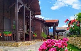 Andreevite Houses